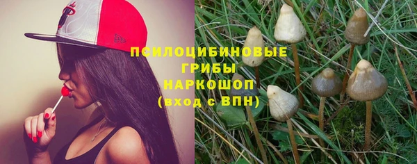 меф VHQ Дмитриев