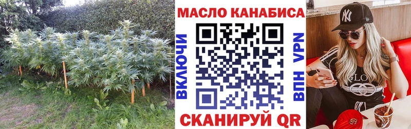 Купить где  Карабаново  Дистиллят ТГК концентрат 
