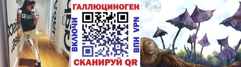 Купить закладки  Карабаново  Псилоцибиновые грибы Cubensis 